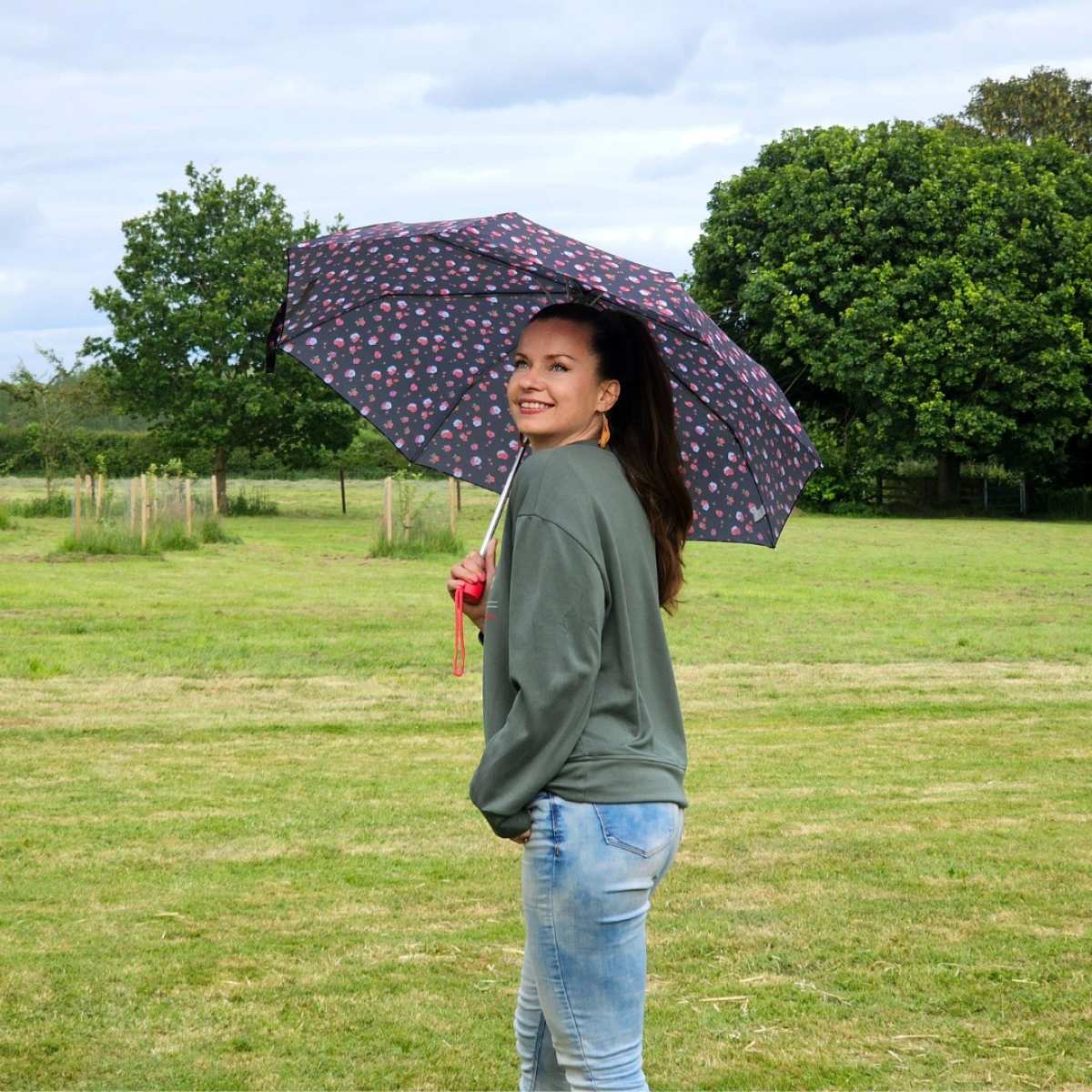 Minilite 2 - Strawberry Garden