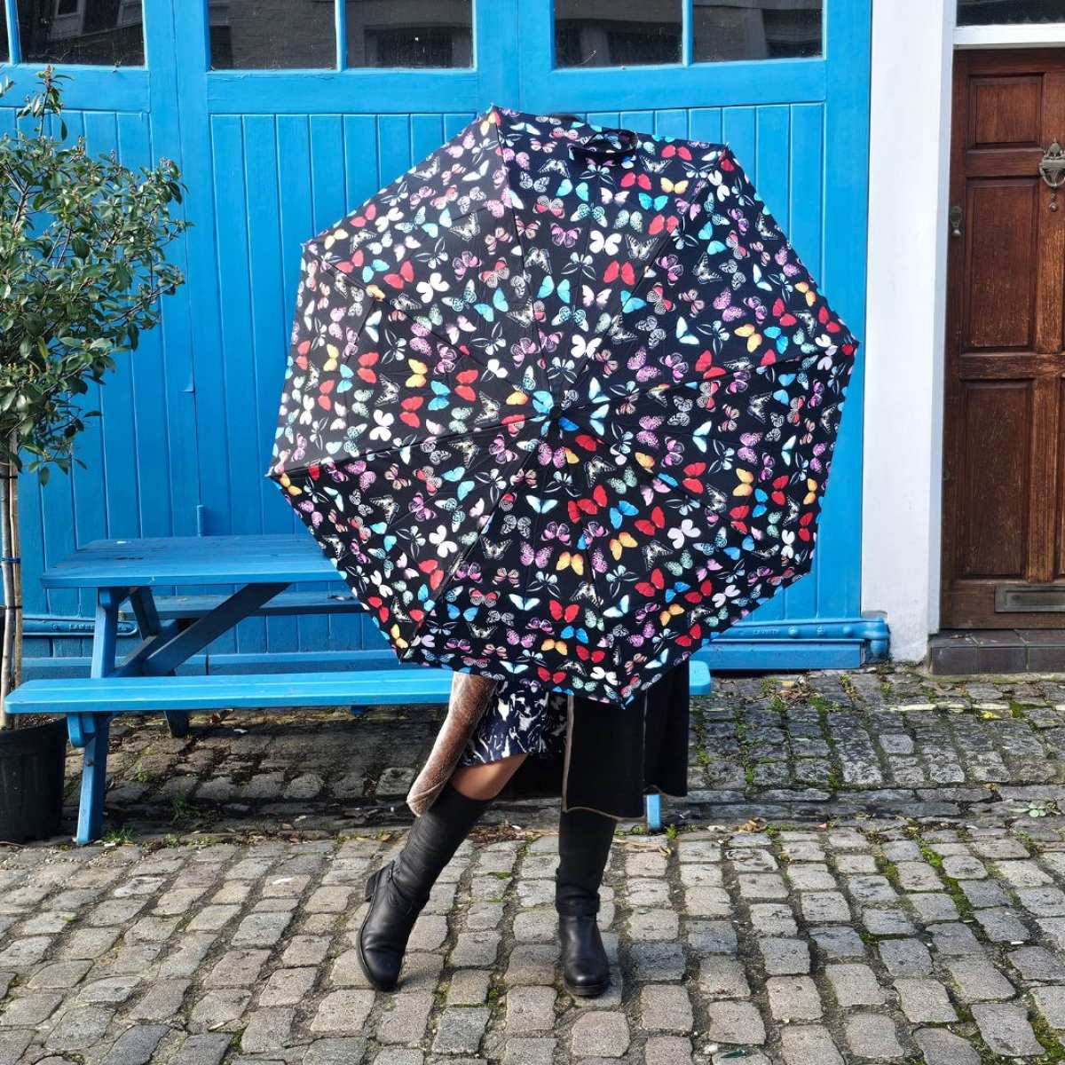 Minilite 2 - Butterfly