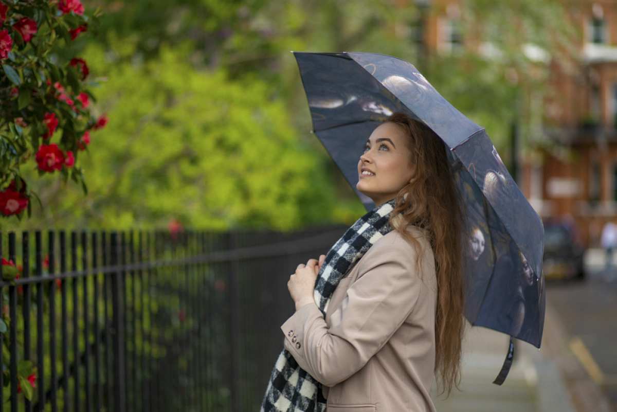 The National Gallery Minilite 2 - Angel From The Virgin Of The Rock