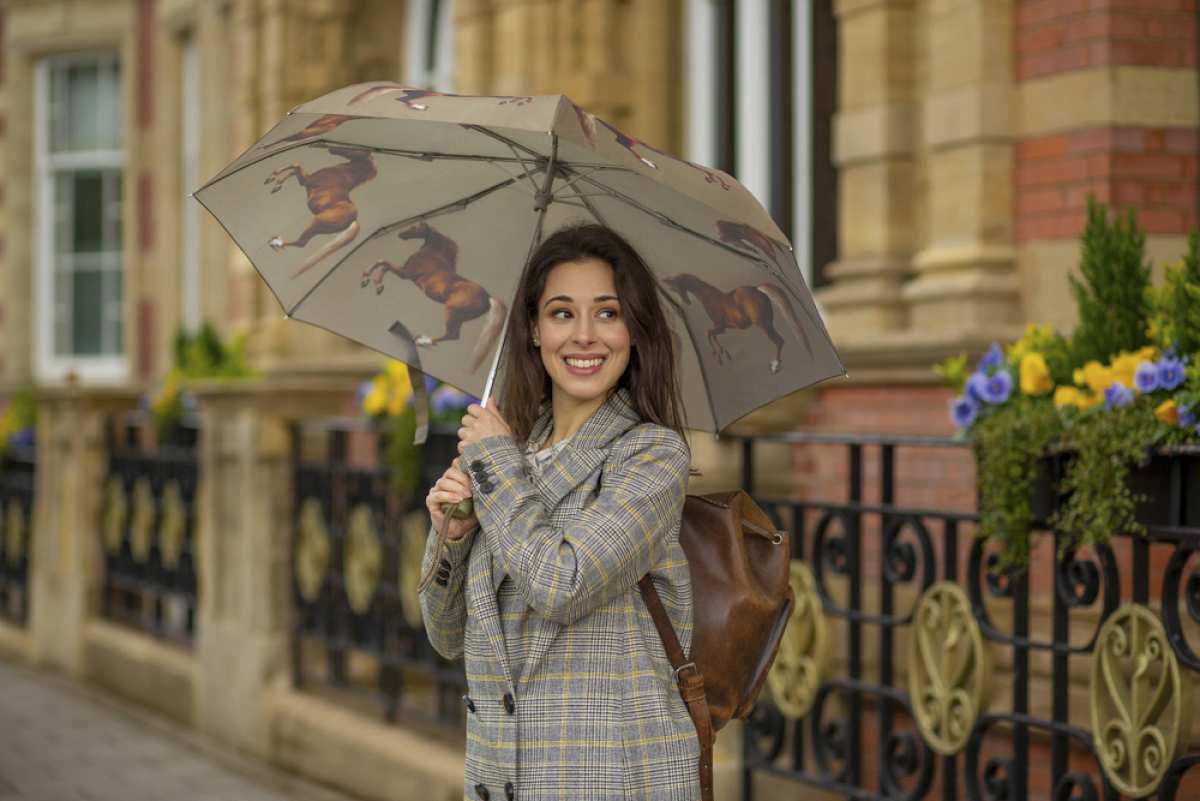 The National Gallery Minilite 2 - Stubbs Whistlejacket