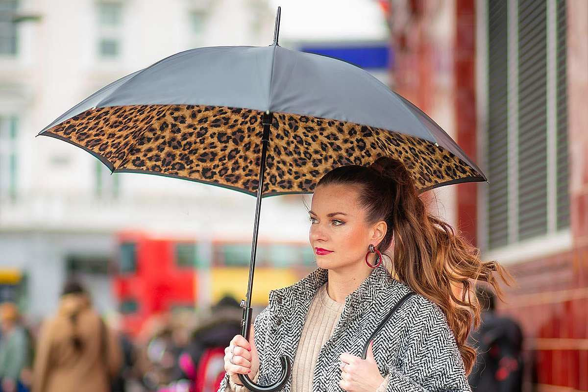 Bloomsbury 2 UV - Lynx