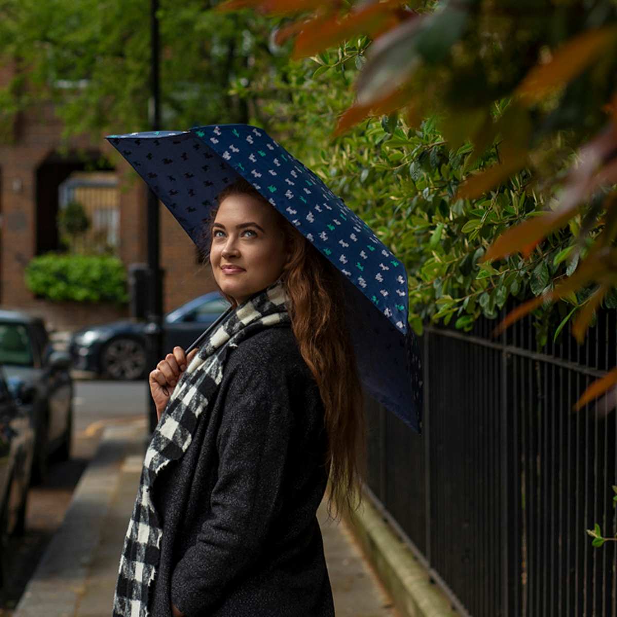 Aerolite 2 - Furry Friends