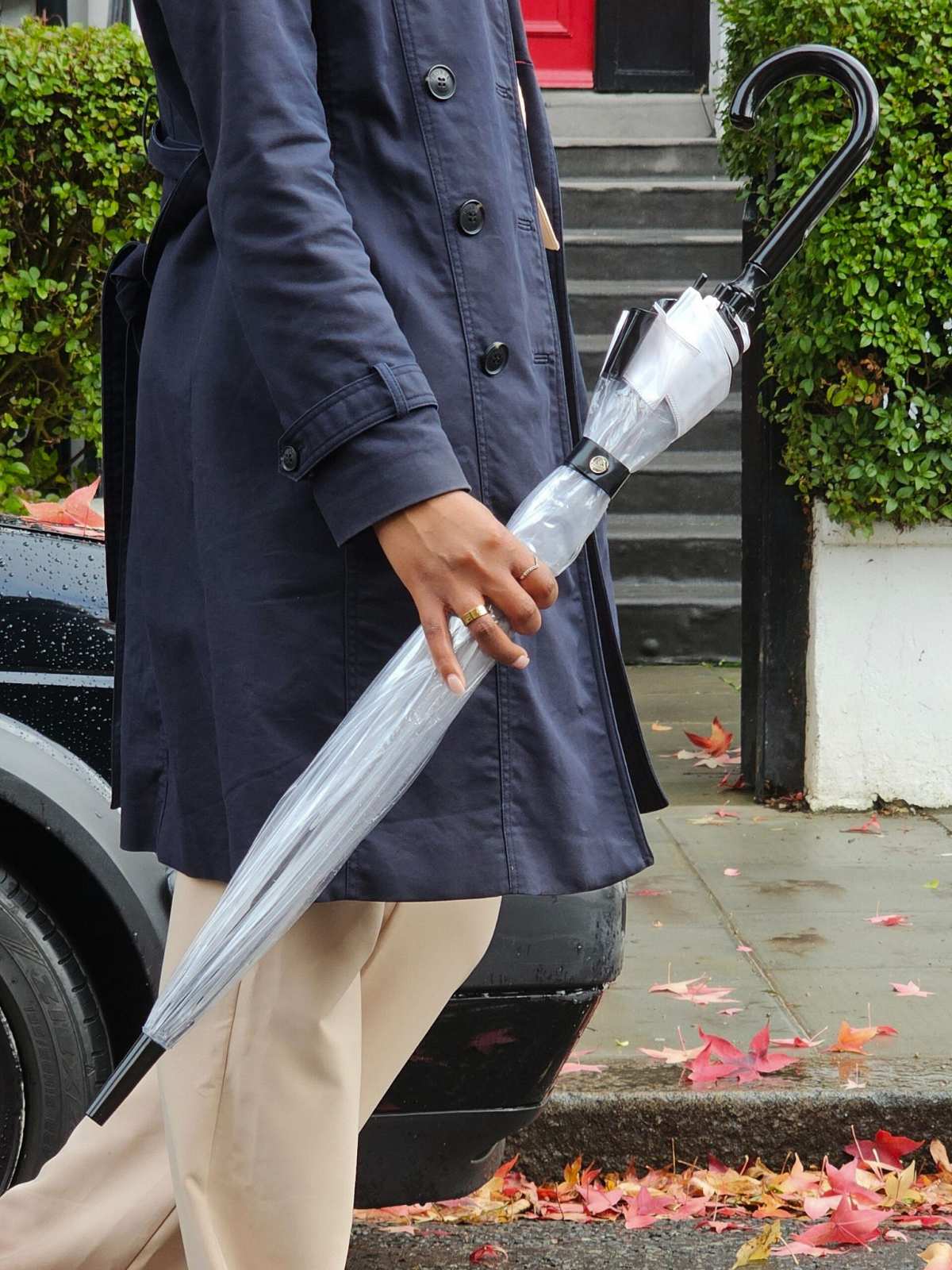 Birdcage® 1 - Black & White