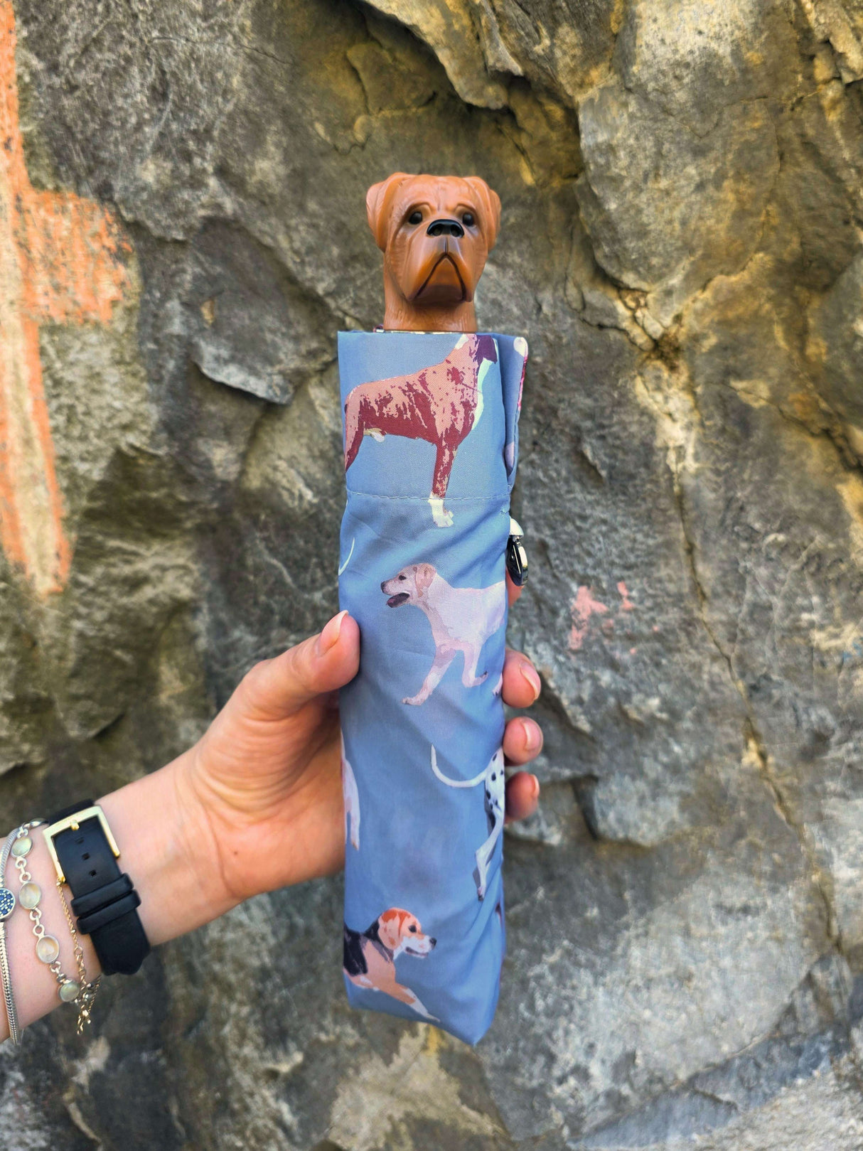 Curio 2 UV - Dog