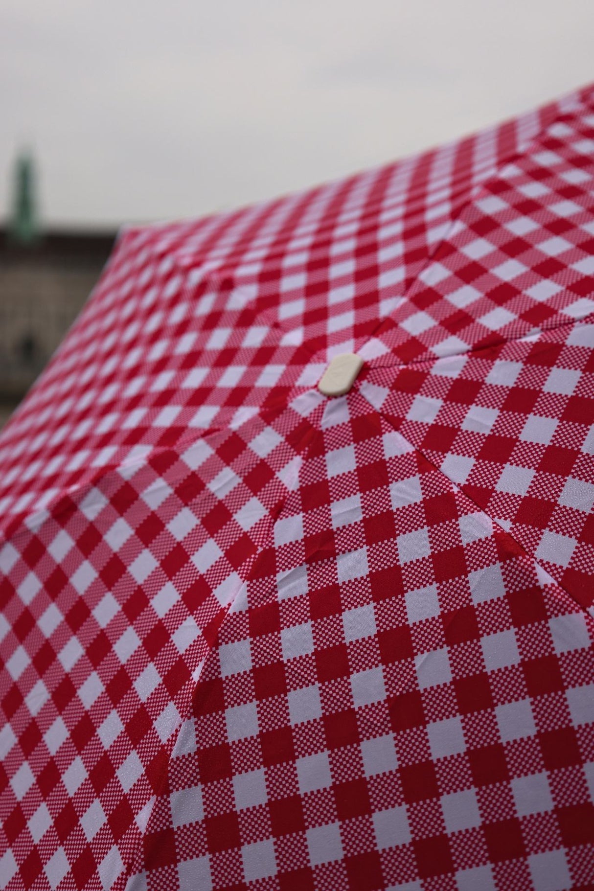 Tiny 2 - Red Gingham