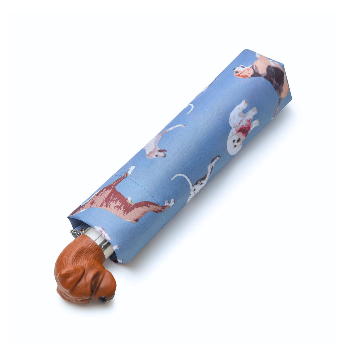Curio 2 UV - Dog