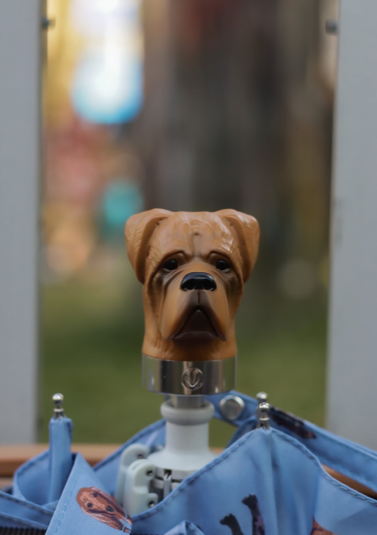 Curio 2 UV - Dog