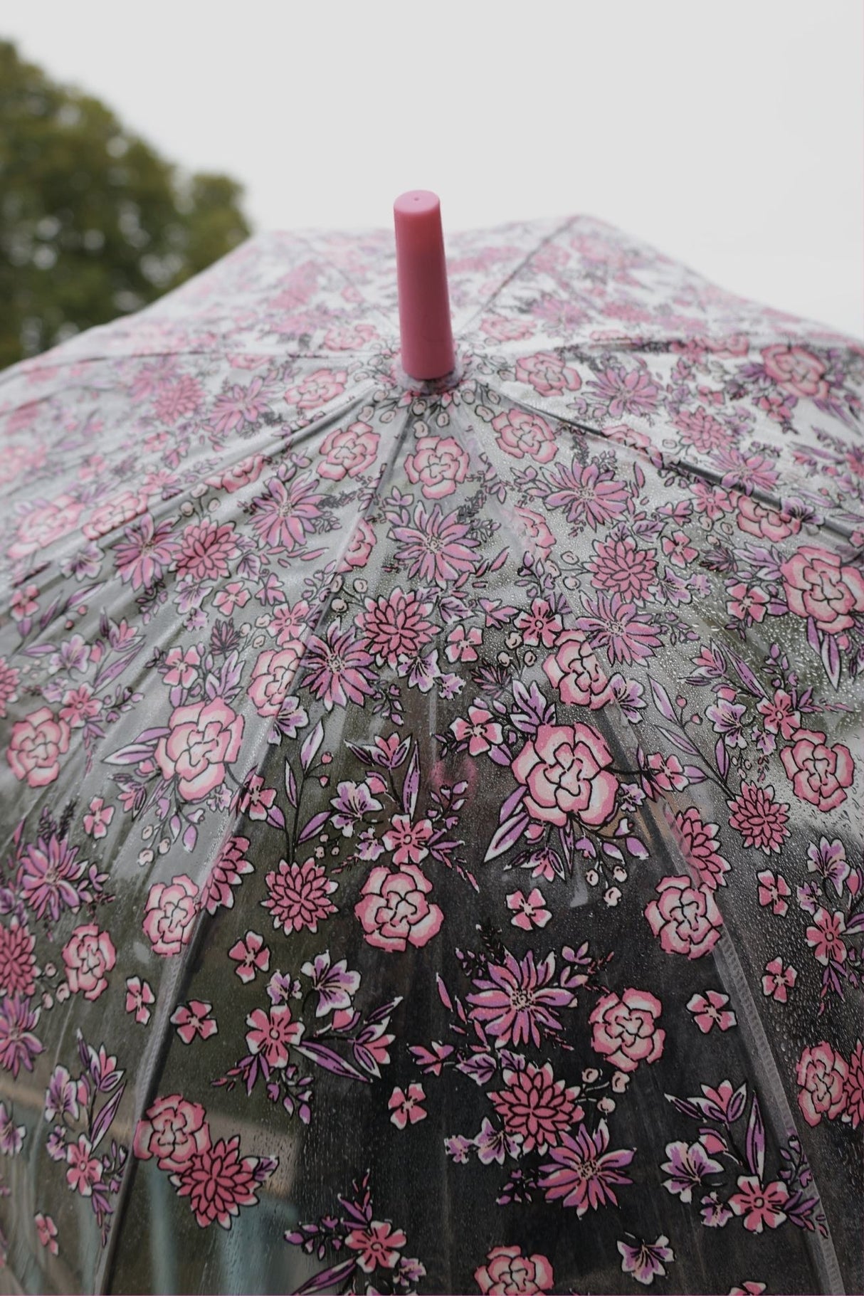 Birdcage® 2 - Sketchy Sprigs