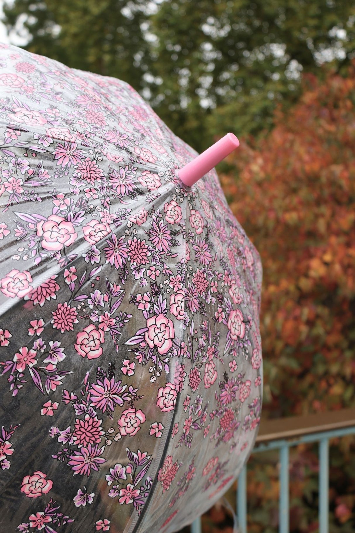 Birdcage® 2 - Sketchy Sprigs