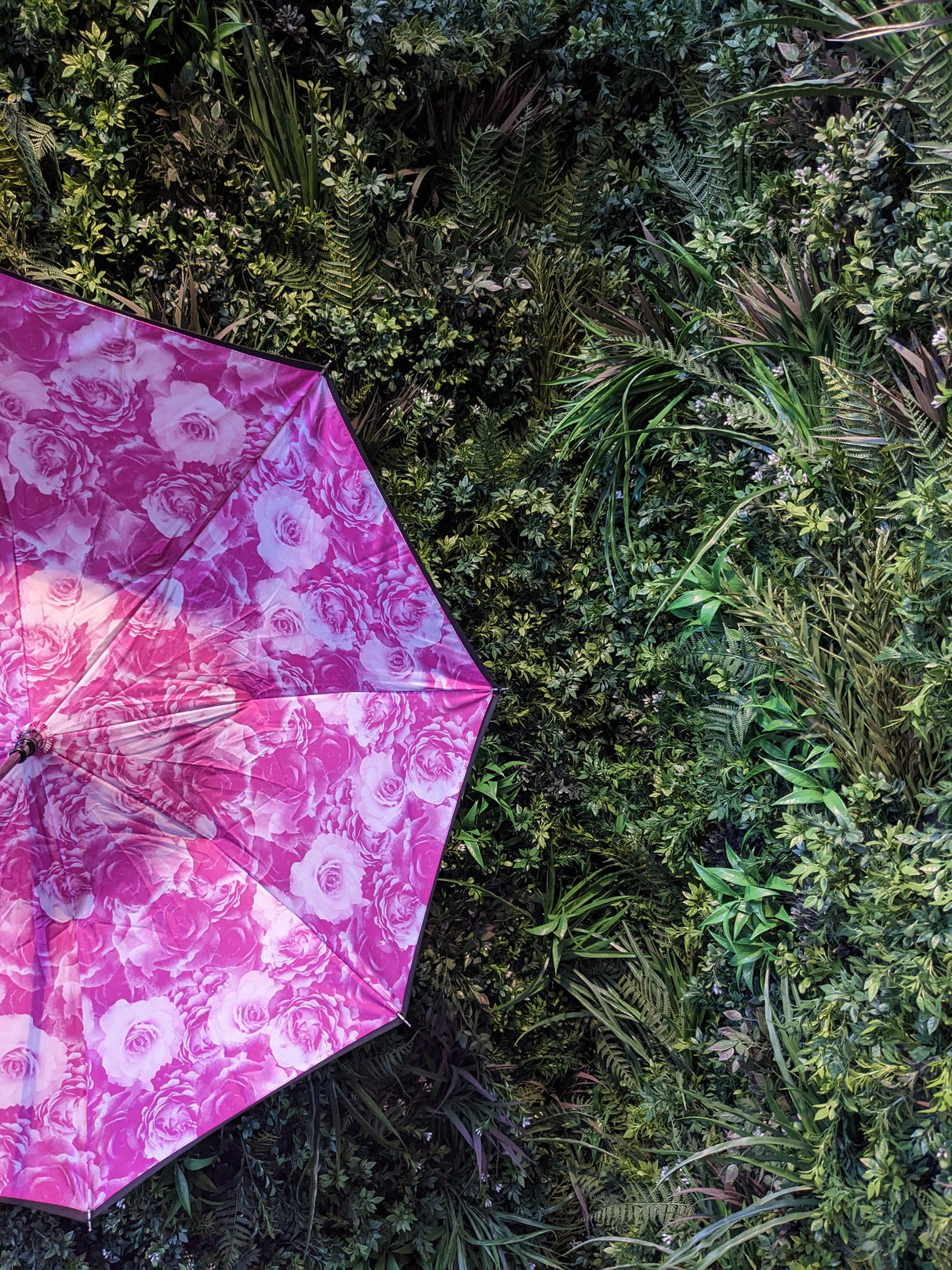 Bloomsbury 2 UV - Neon Floral