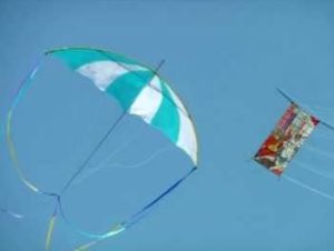 Umbrella kite