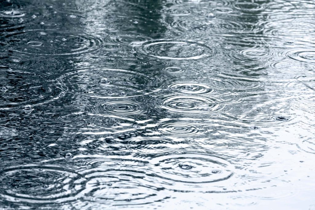 Why is rain important blog fulton umbrellas