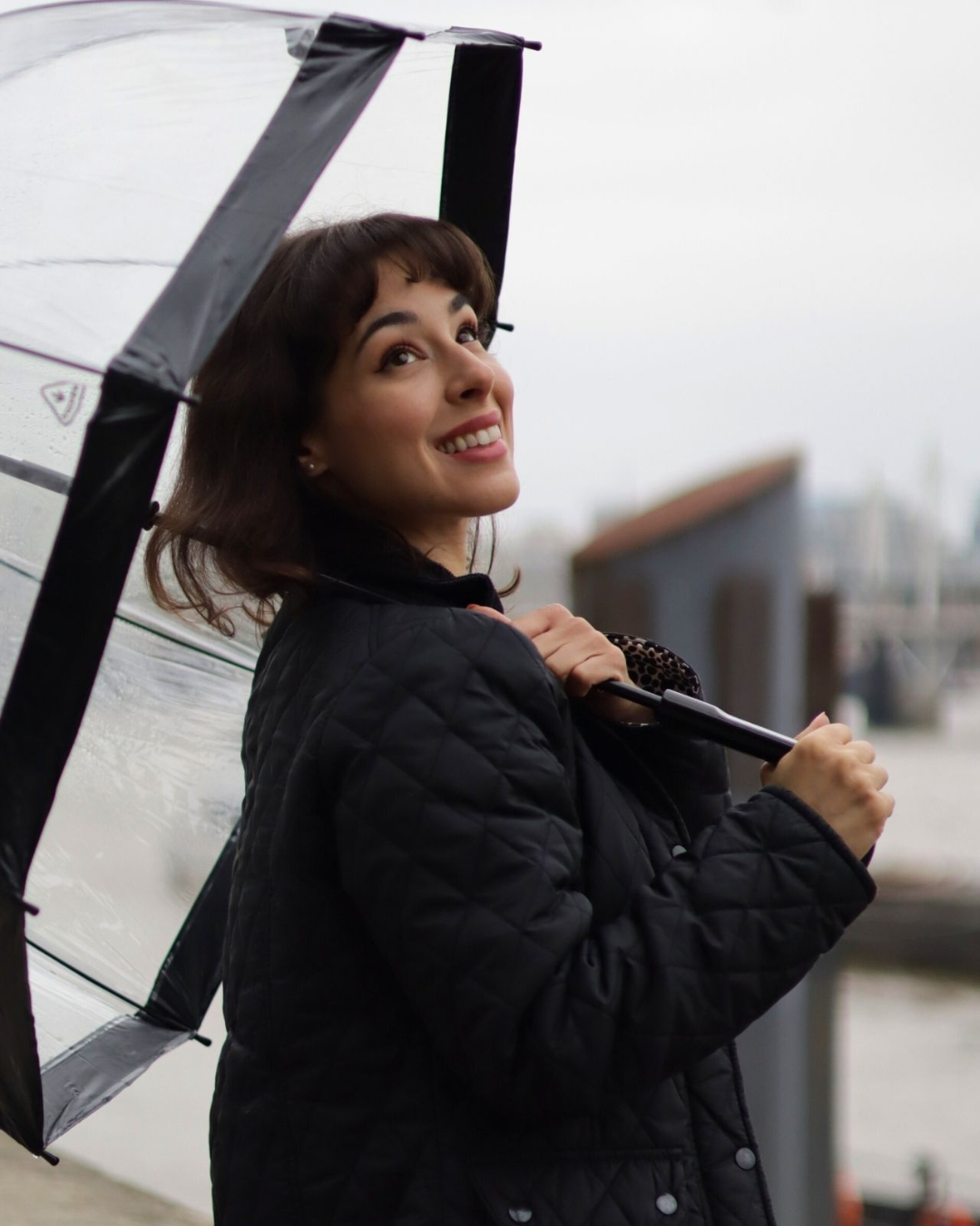 Fulton Umbrellas - Special Offers - November - Black Friday