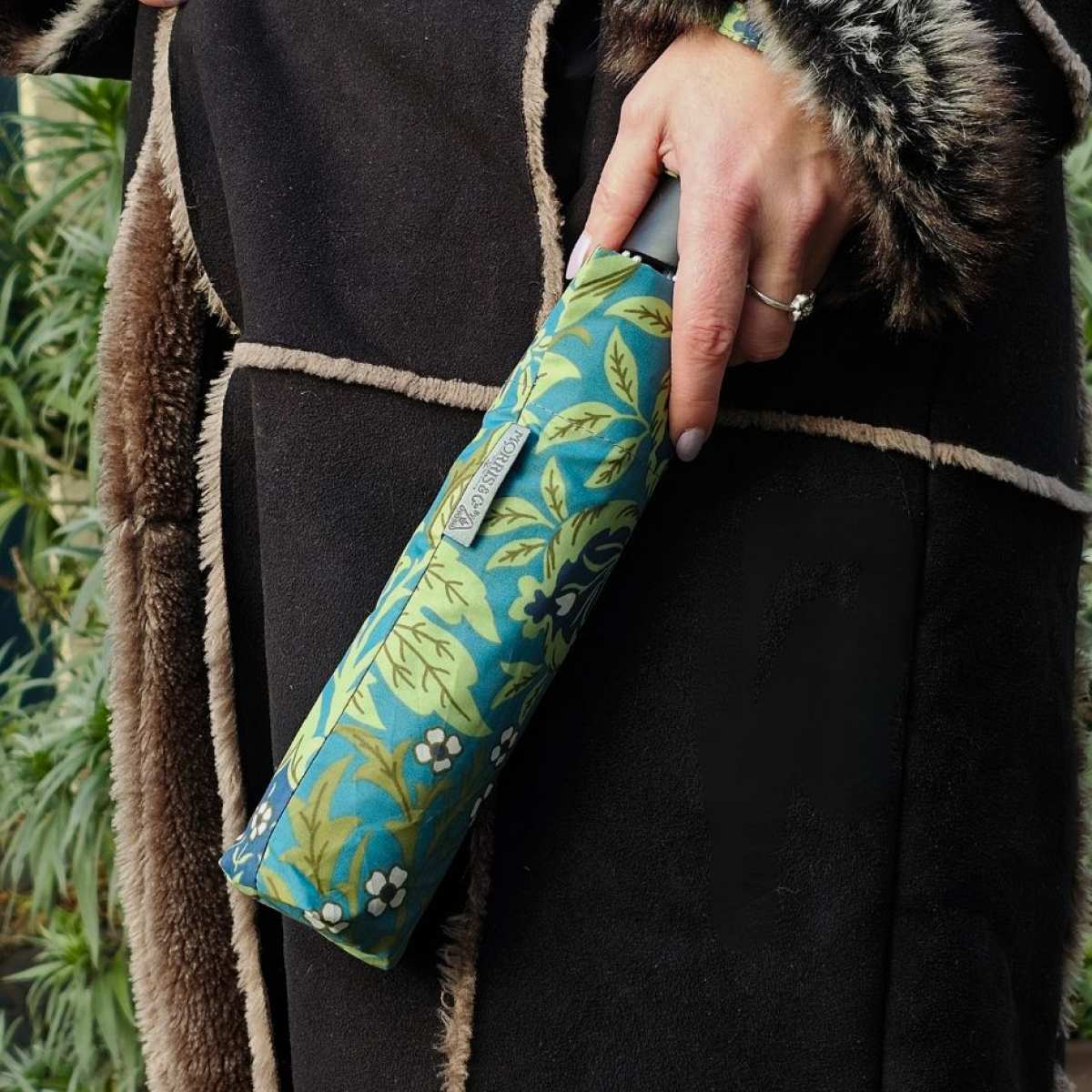 Morris & Co. Minilite UV -  Elmcote