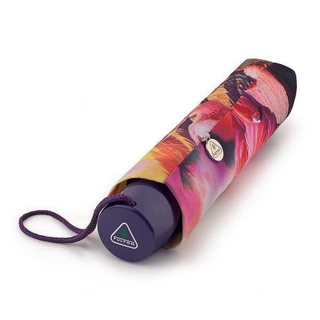 Minilite 2 - Flamingo Sunset