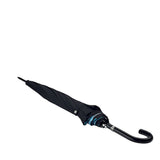 Bloomsbury 2 - Night Sky Flowers