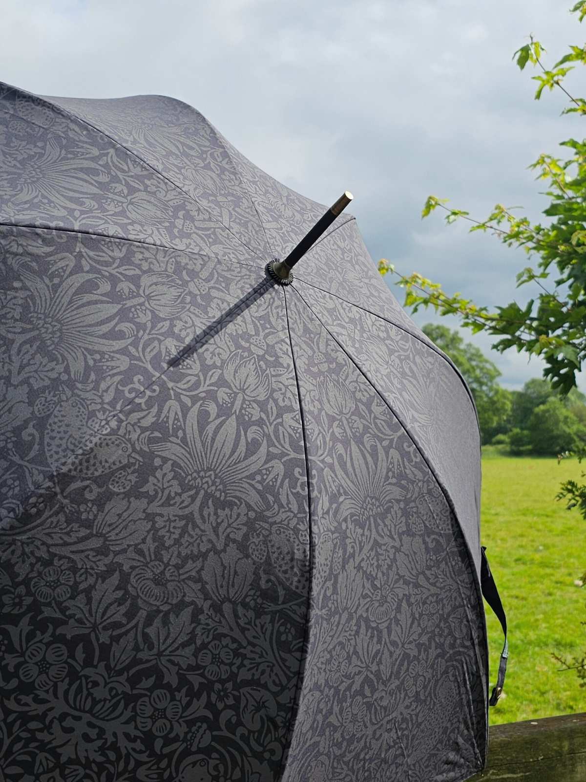 Fulton Umbrellas Hampstead Women's Walkign Umbrella Strawberry