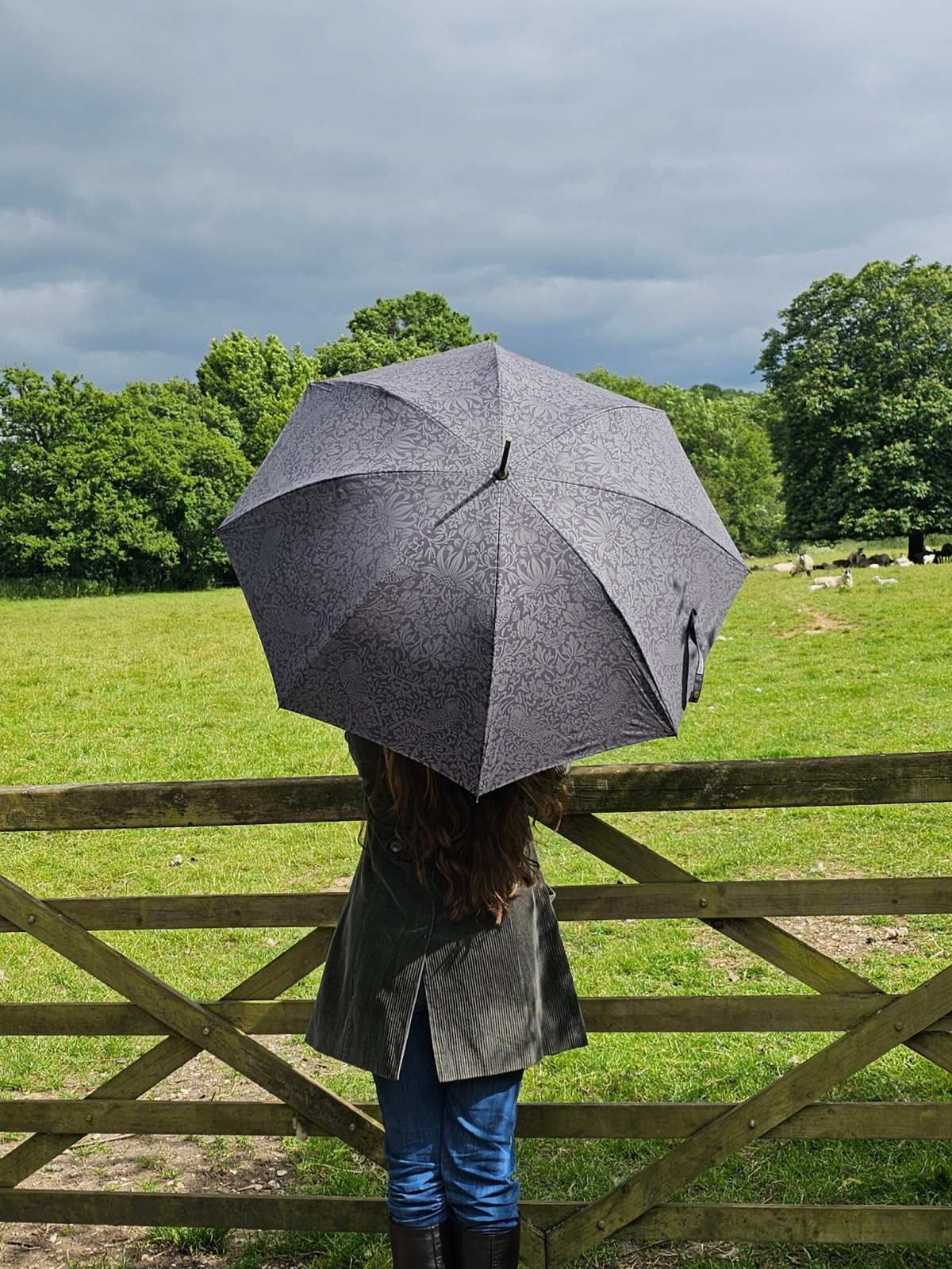 Morris & Co Hampstead 2 - Strawberry Thief Graphite