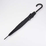 National Gallery Bloomsbury 2 - Tiger Surprised