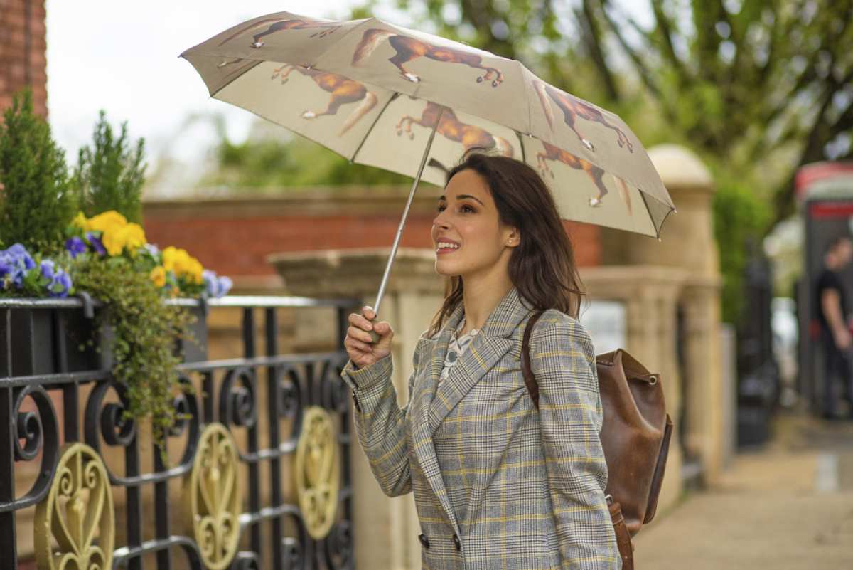 The National Gallery Minilite 2 - Stubbs Whistlejacket