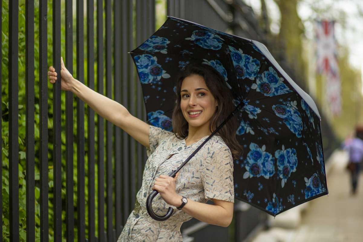 Bloomsbury 2 - Night Sky Flowers