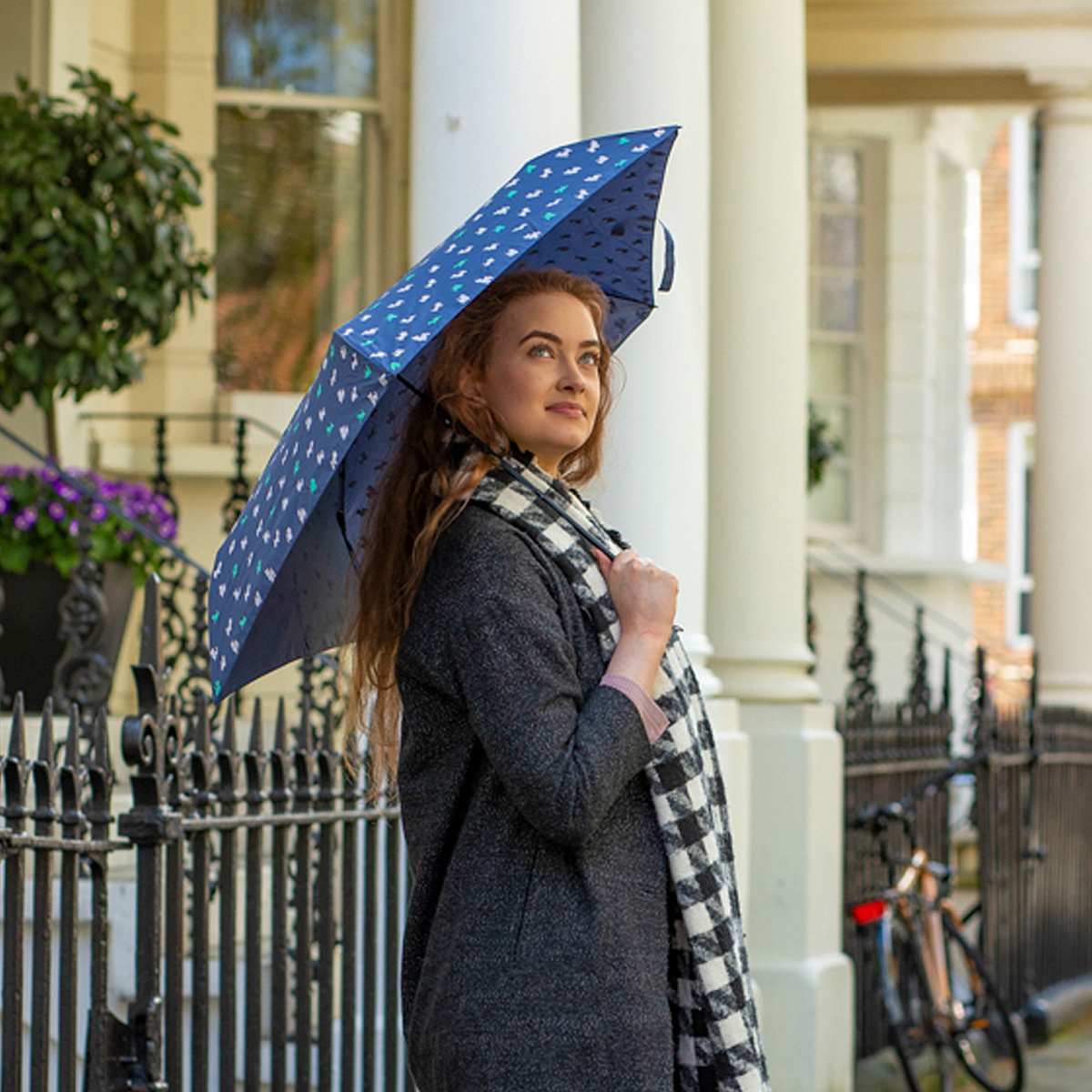 Aerolite 2 - Furry Friends