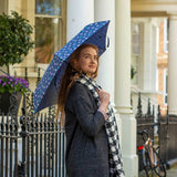 Aerolite 2 - Furry Friends