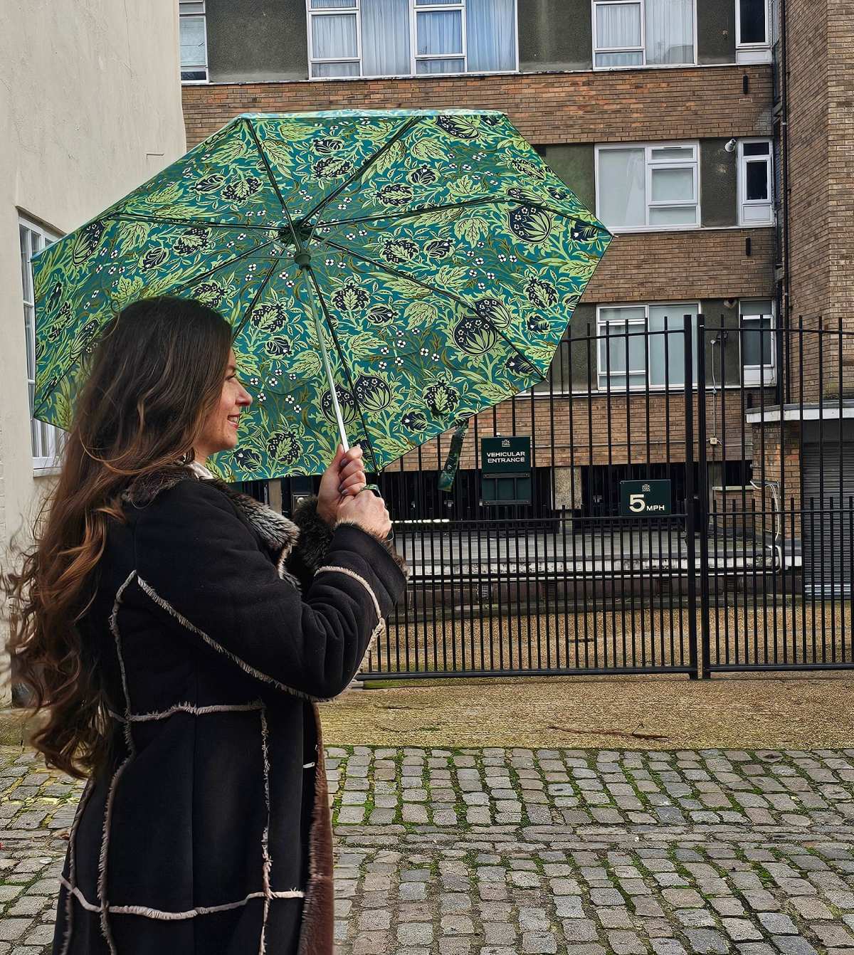 Morris & Co. Minilite UV -  Elmcote