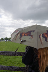 The National Gallery Minilite 2 - Stubbs Whistlejacket