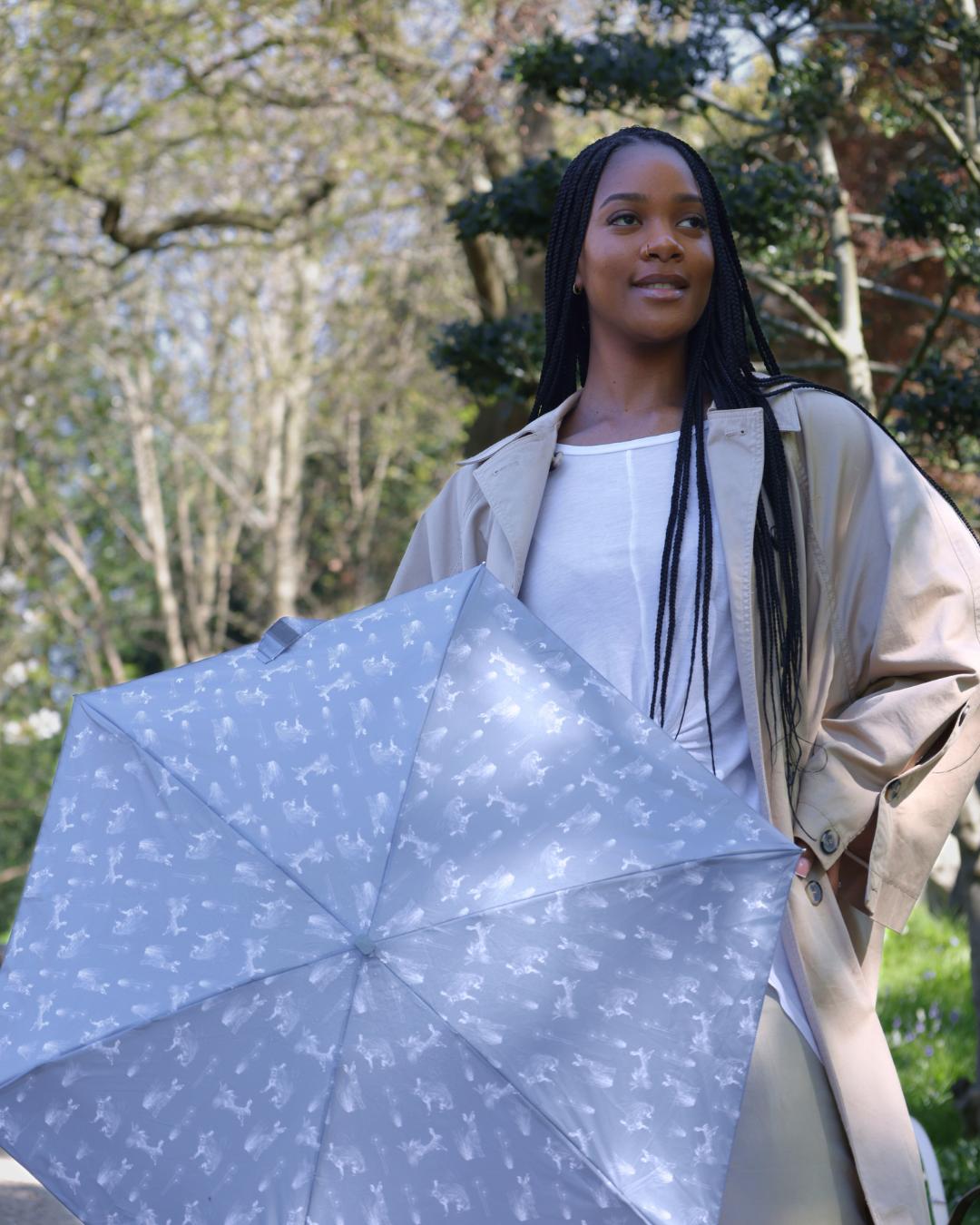 Tiny 2 - Hare & Meadow