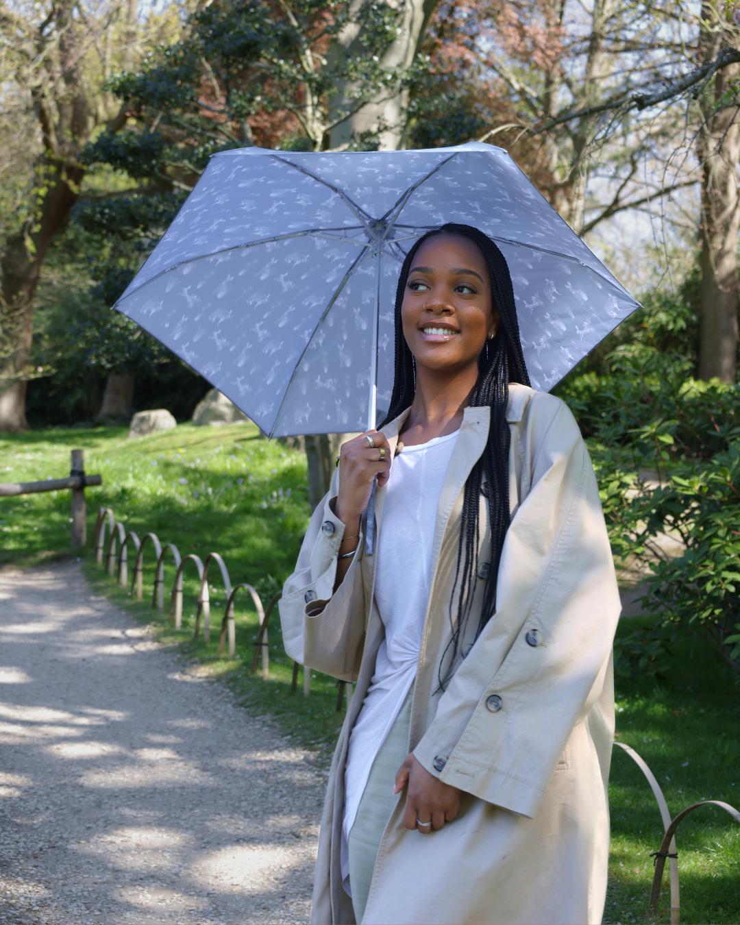 Tiny 2 - Hare & Meadow