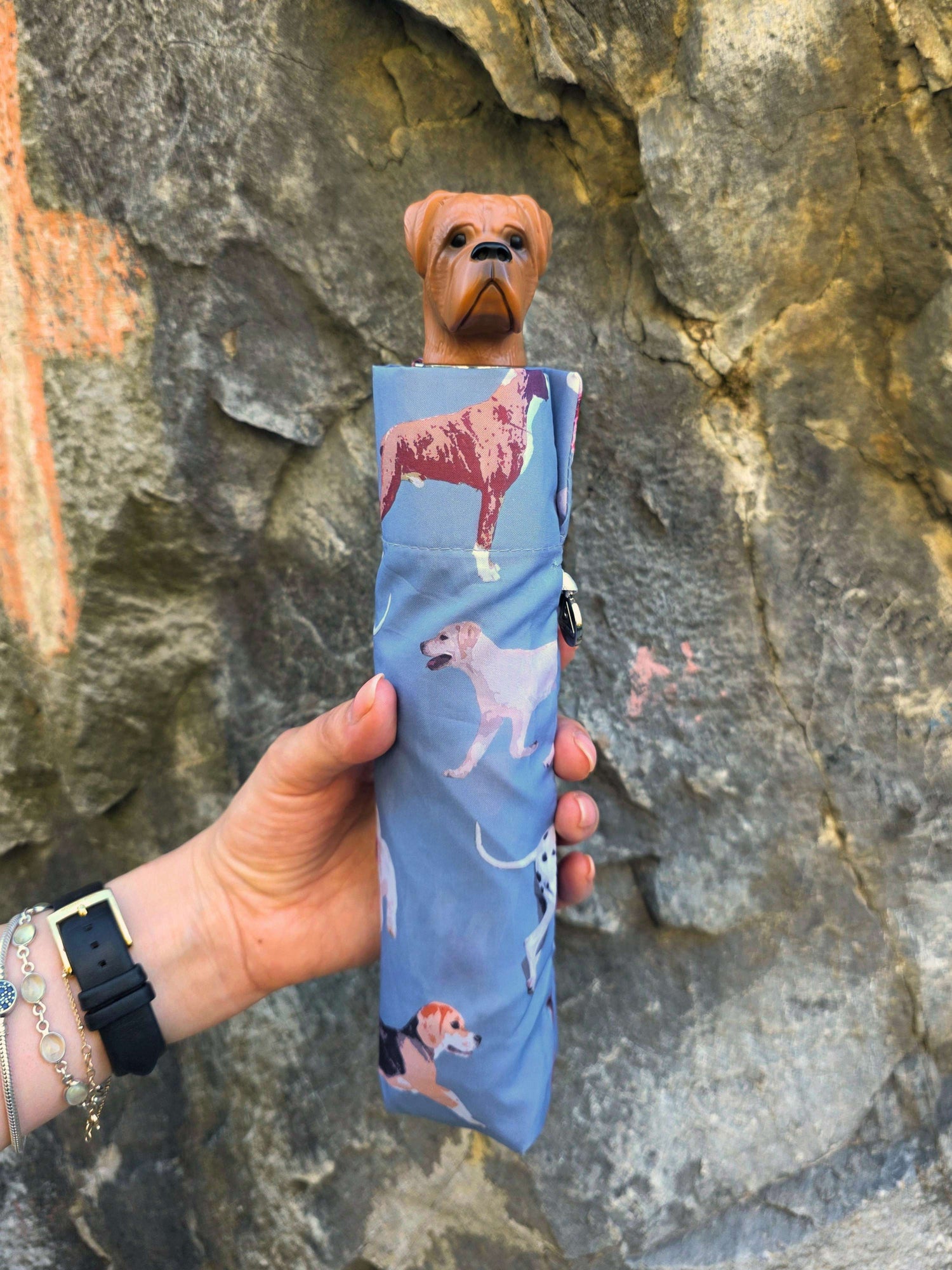 Curio 2 UV - Dog