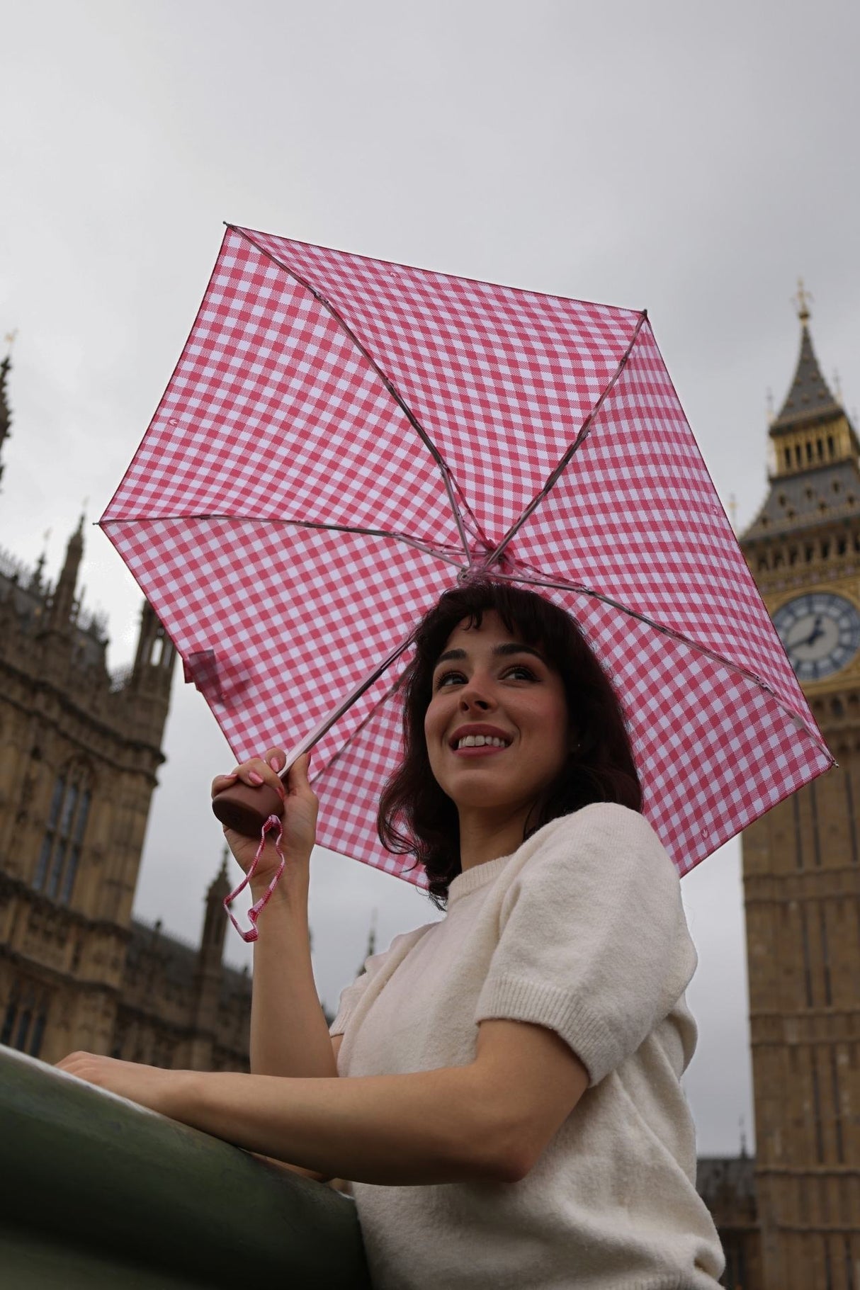 Tiny 2 - Red Gingham