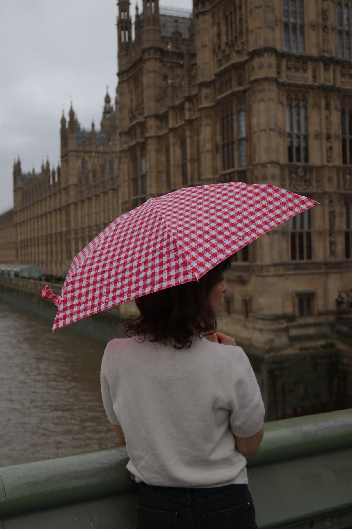 Tiny 2 - Red Gingham