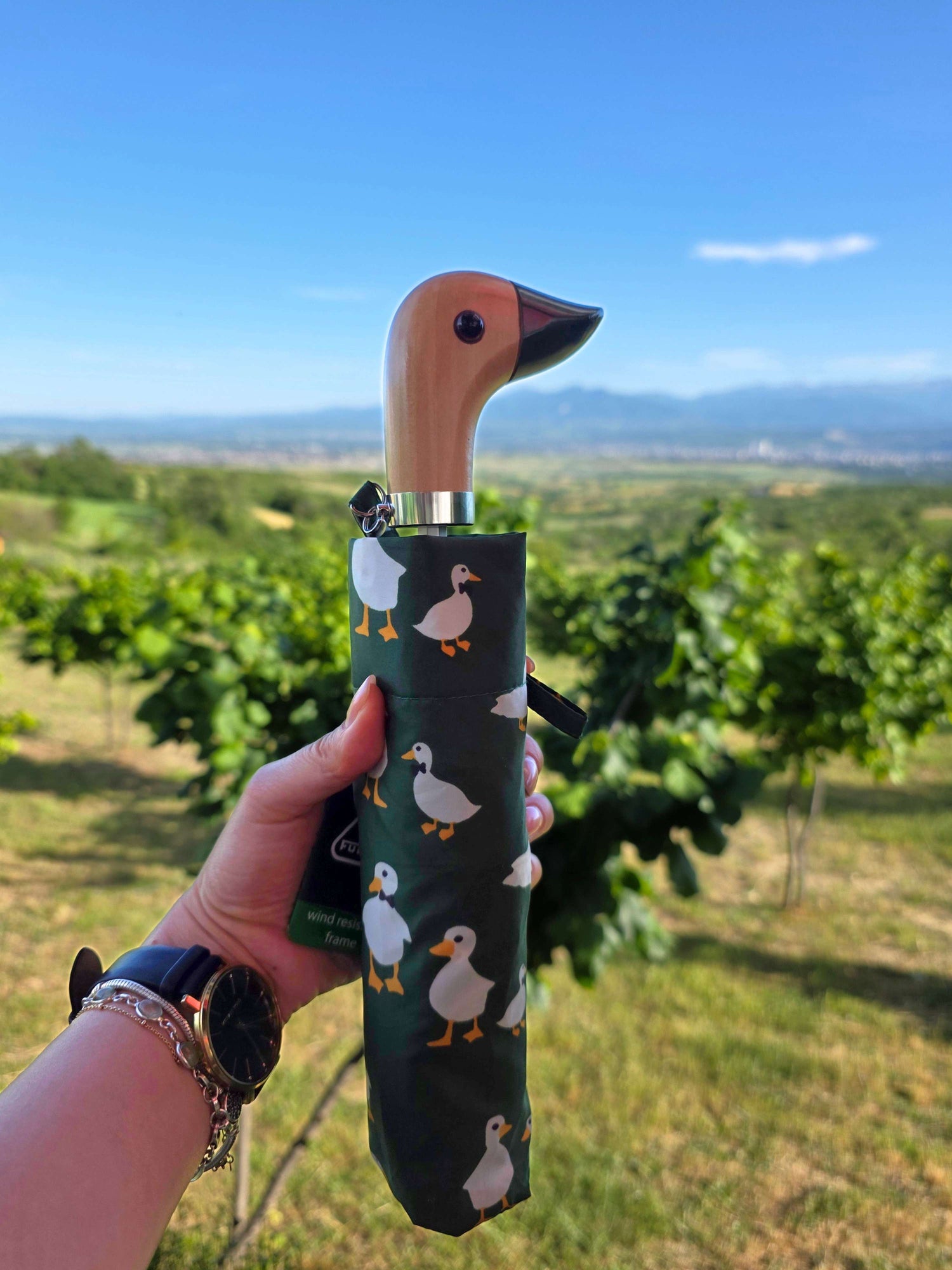 Curio 2 UV - Green Duck