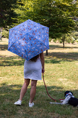 Curio 2 UV - Dog