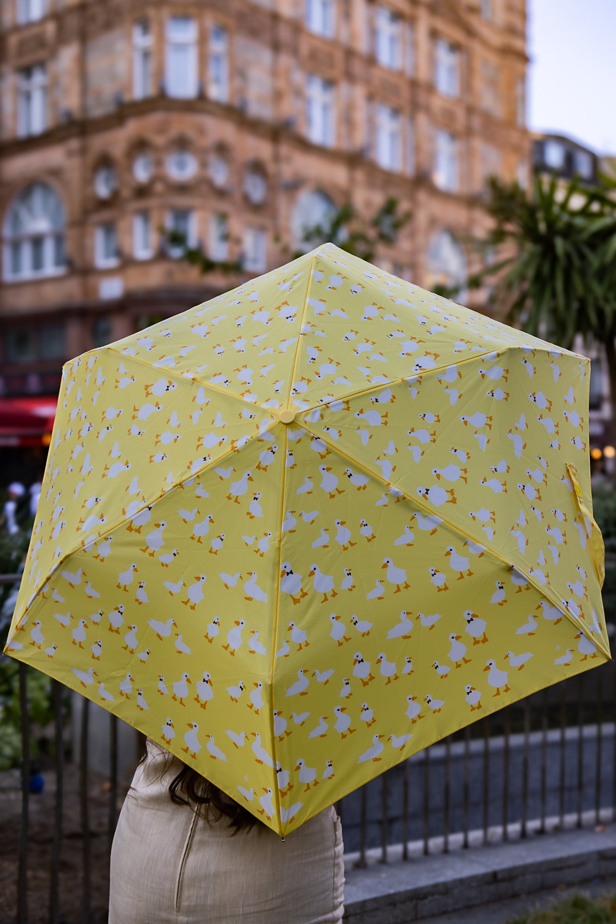 Curio 2 UV - Yellow Duck