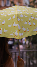 Curio 2 UV - Yellow Duck