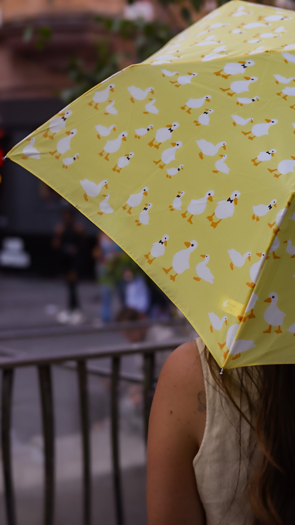 Curio 2 UV - Yellow Duck