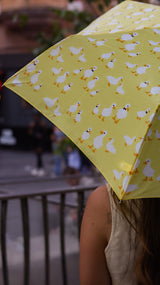 Curio 2 UV - Yellow Duck