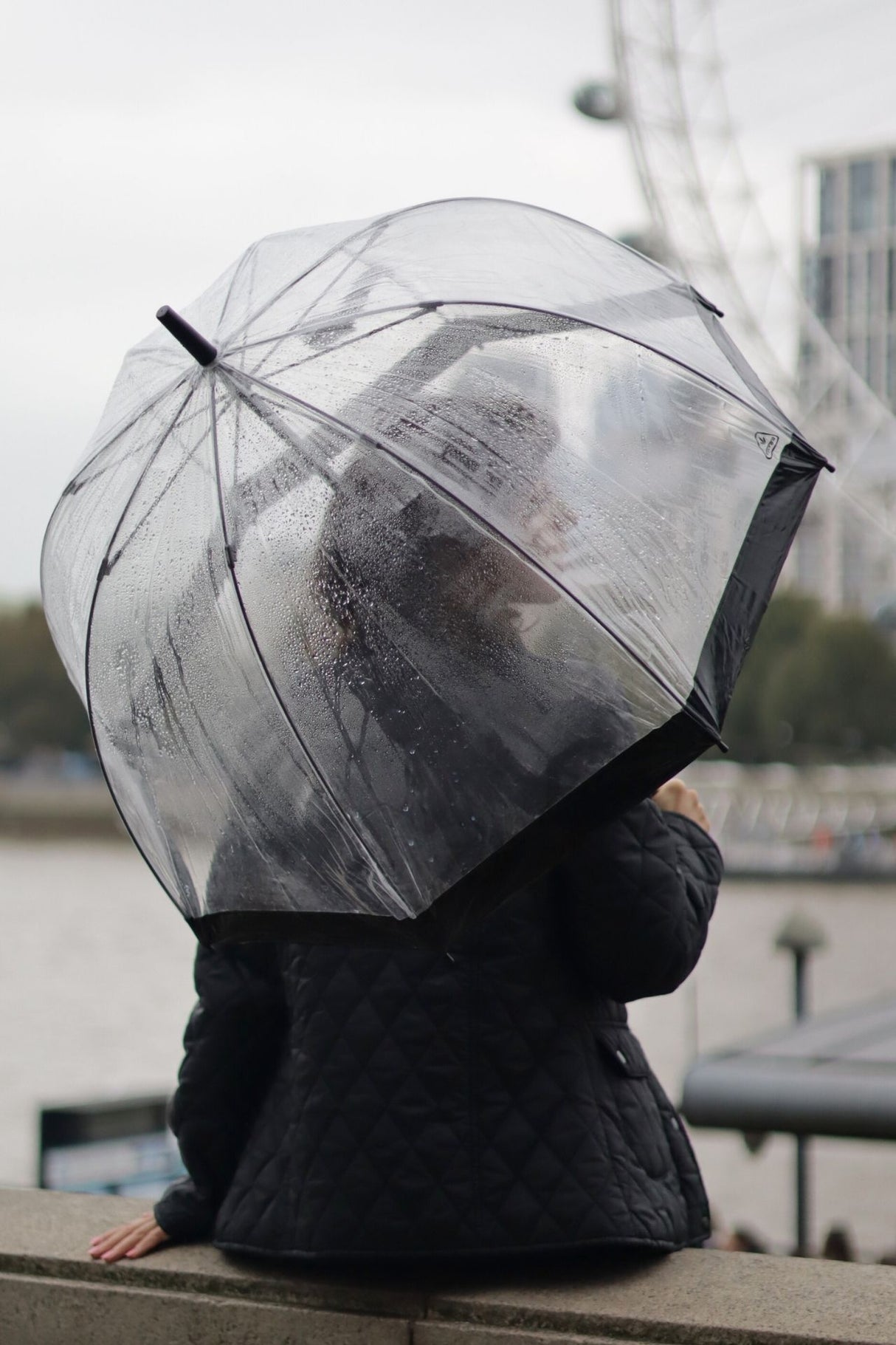 Birdcage® 1 - Black