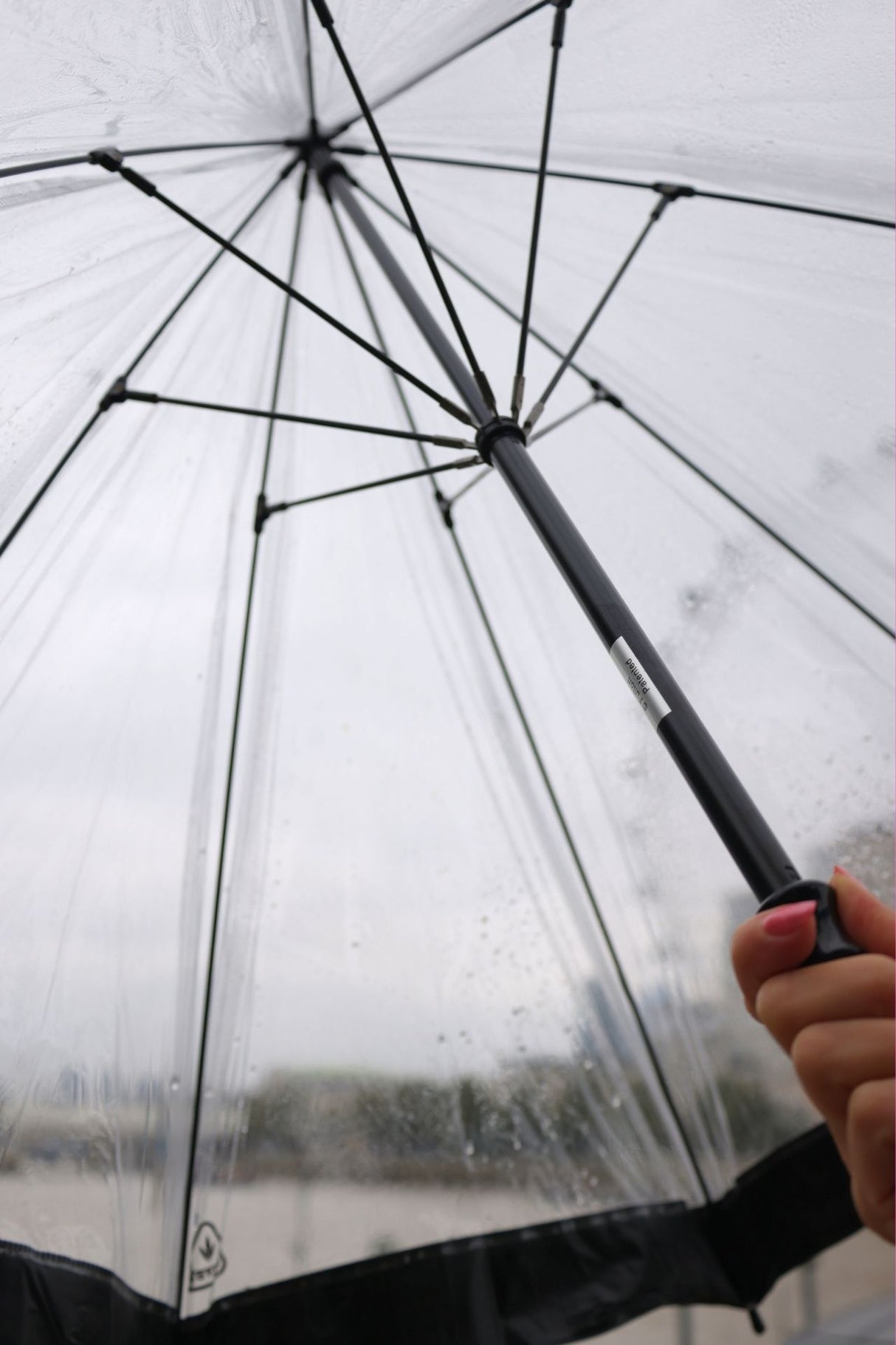 Birdcage® 1 - Black