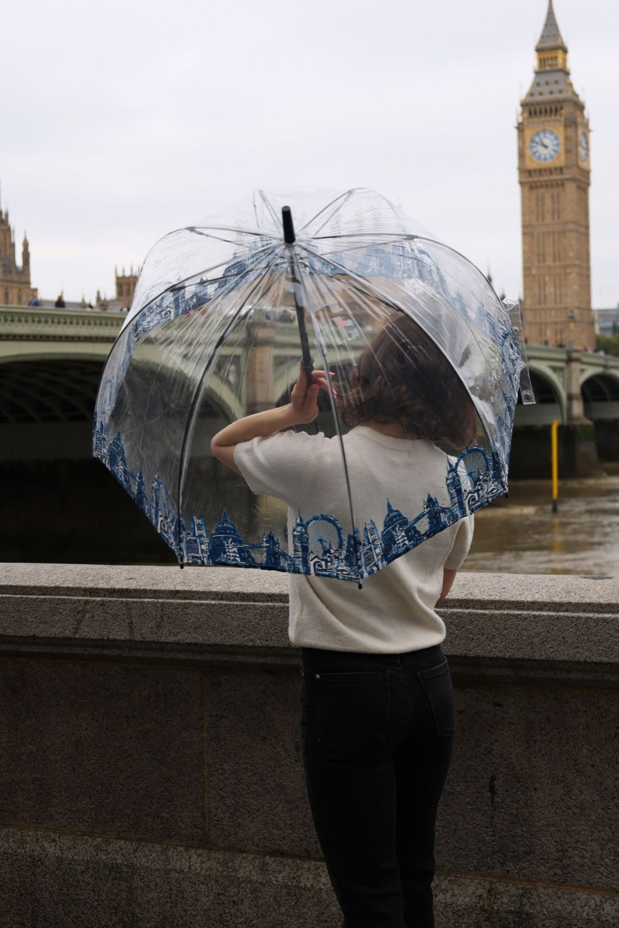 Birdcage® 2 - London Icons