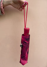 Open & Close - Photo Rose