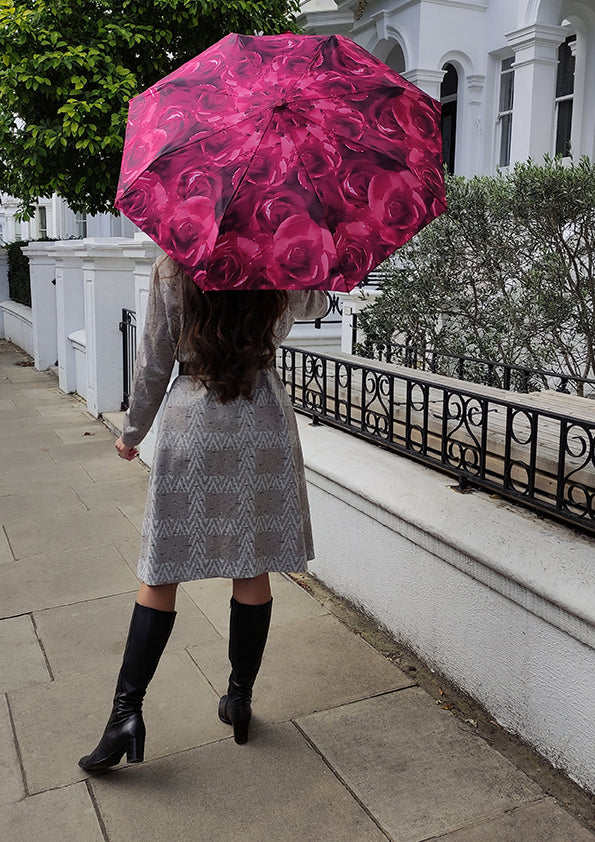 Open & Close - Photo Rose