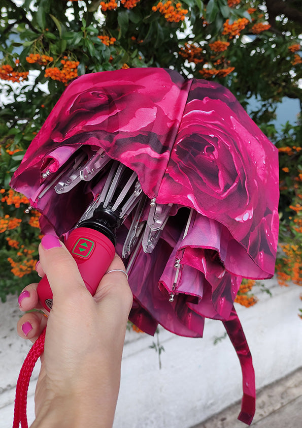 Open & Close - Photo Rose