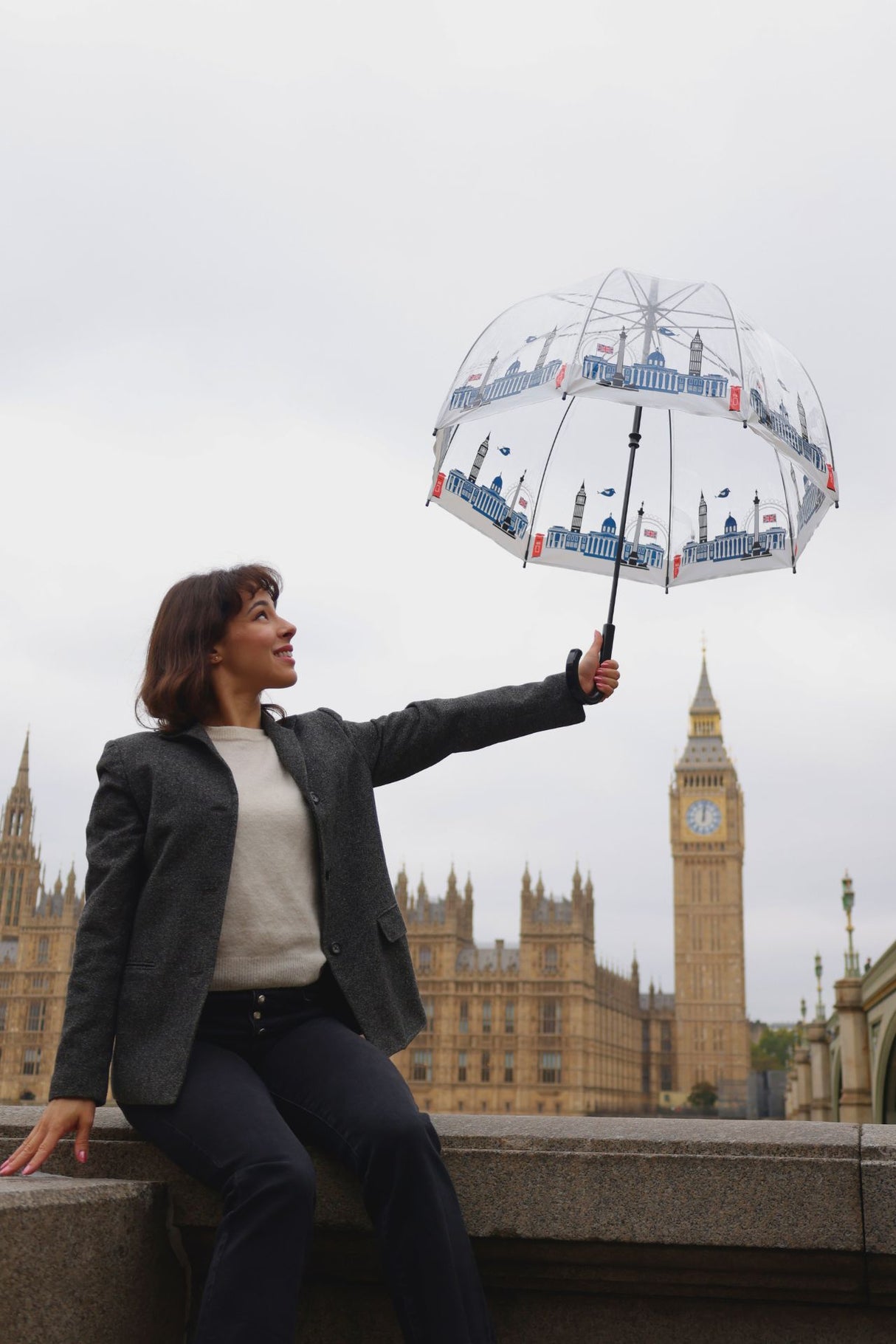 The National Gallery Birdcage® 2 - National Gallery Skyline