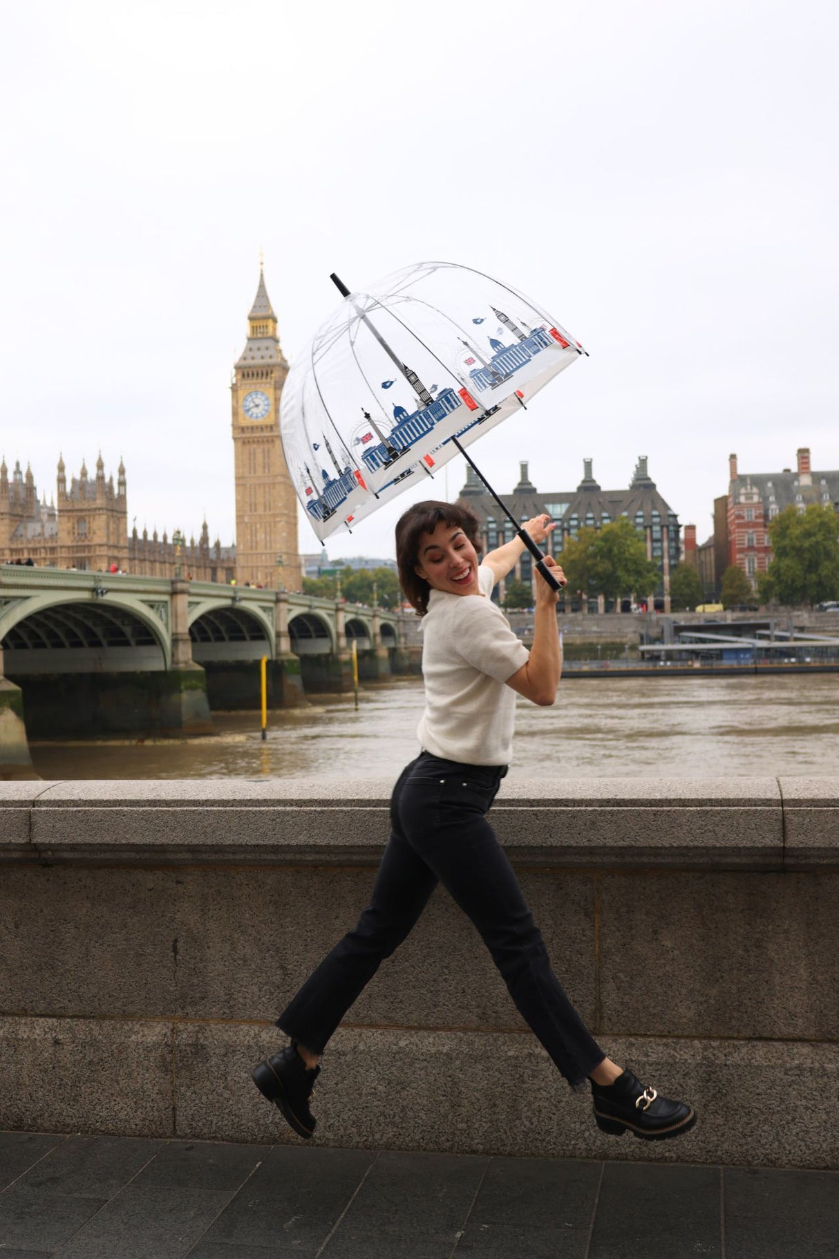 The National Gallery Birdcage® 2 - National Gallery Skyline