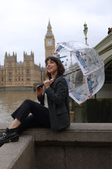 The National Gallery Birdcage® 2 - National Gallery Skyline