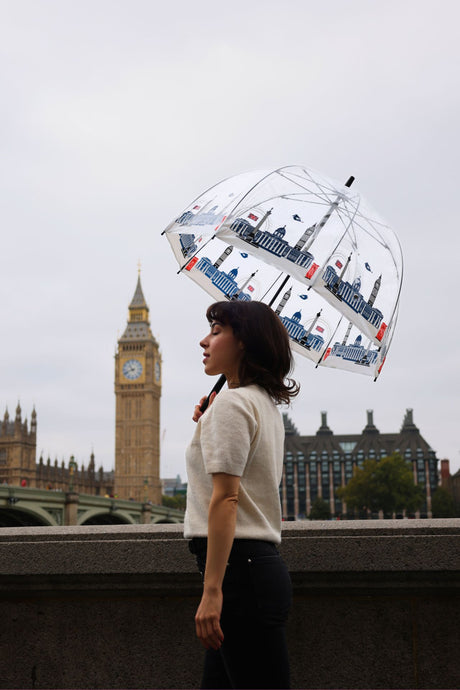 The National Gallery Birdcage® 2 - National Gallery Skyline